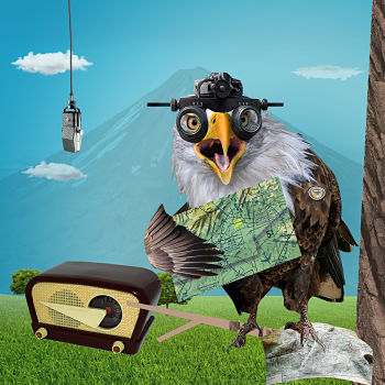 Aviario