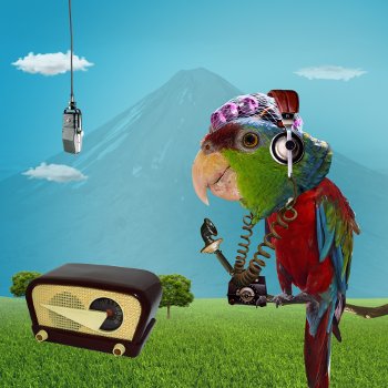 Aviario