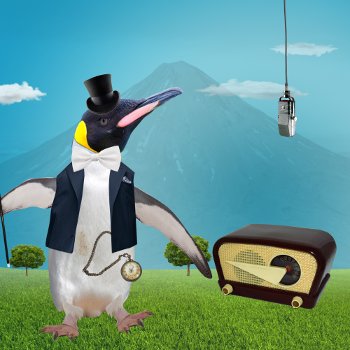 Pingüino: elegante y versátil