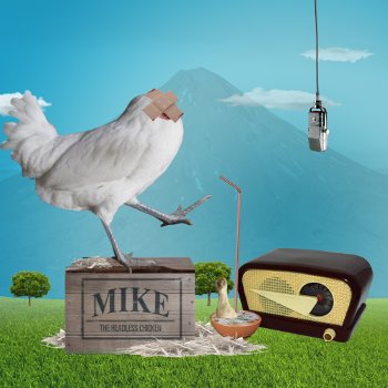 Mike: el pollo sin cabeza