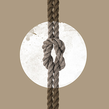 Tentación a Medianoche